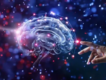 Brain Health Service Details
